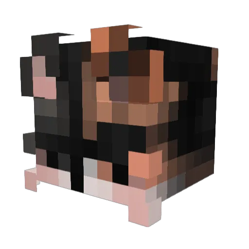 do_t Minecraft avatar head, 3D render