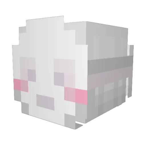 doaf Minecraft avatar head, 3D render