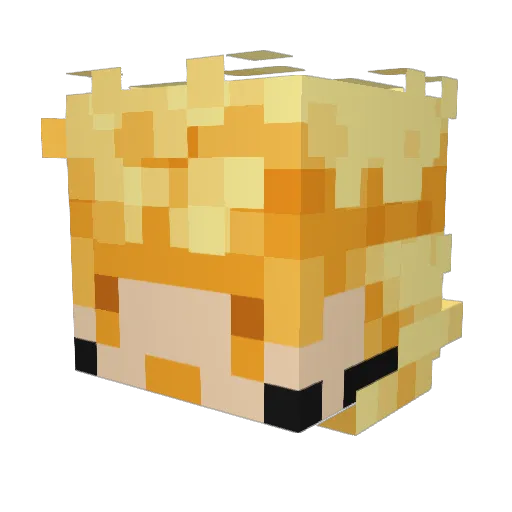 doamin Minecraft avatar head, 3D render