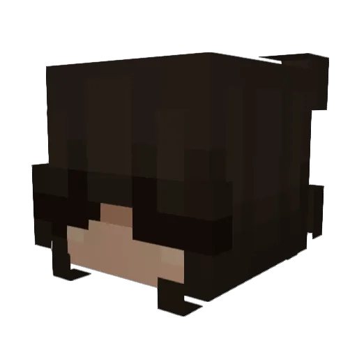 doawss Minecraft avatar head, 3D render