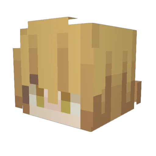 dobby_d1 Minecraft avatar head, 3D render