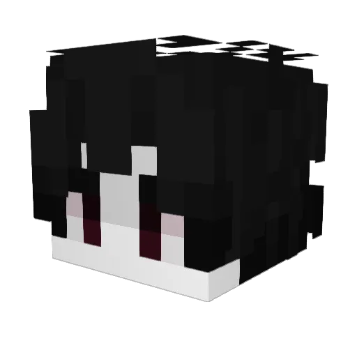 doblones Minecraft avatar head, 3D render