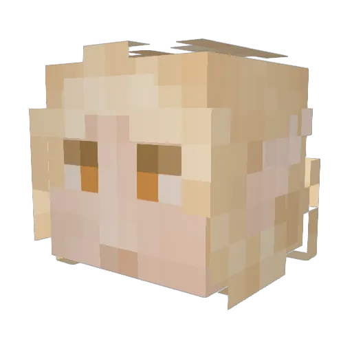 docHP Minecraft avatar head, 3D render