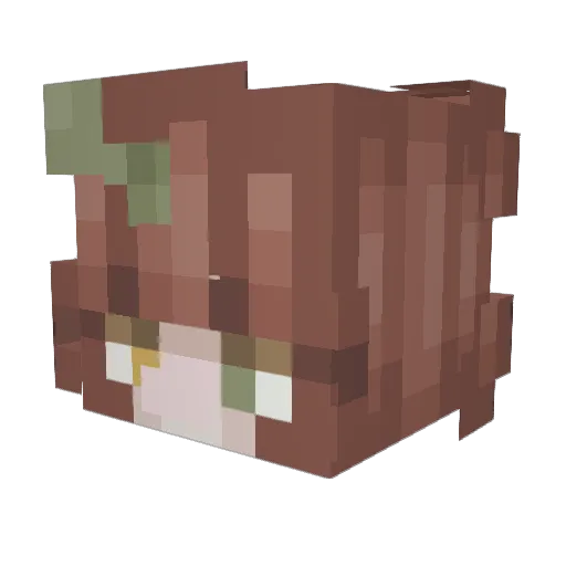 doc_squirrel Minecraft avatar head, 3D render