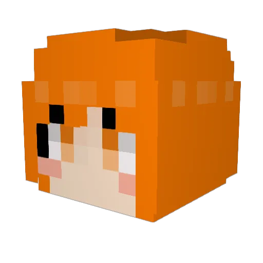 docce1024 Minecraft avatar head, 3D render