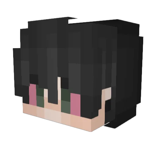 dock_e Minecraft avatar head, 3D render
