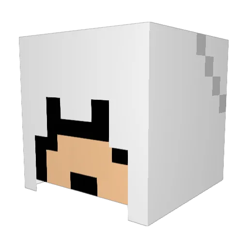 dockli Minecraft avatar head, 3D render