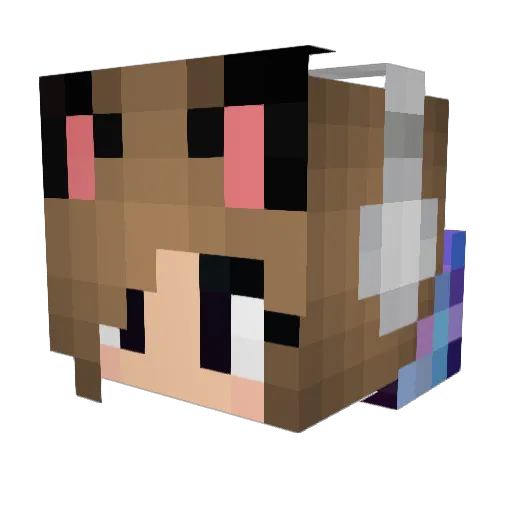 docpalmerooni Minecraft avatar head, 3D render