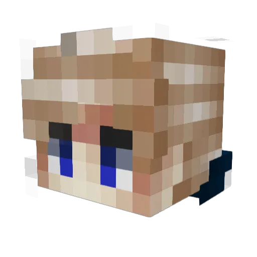 doctPigeon Minecraft avatar head, 3D render