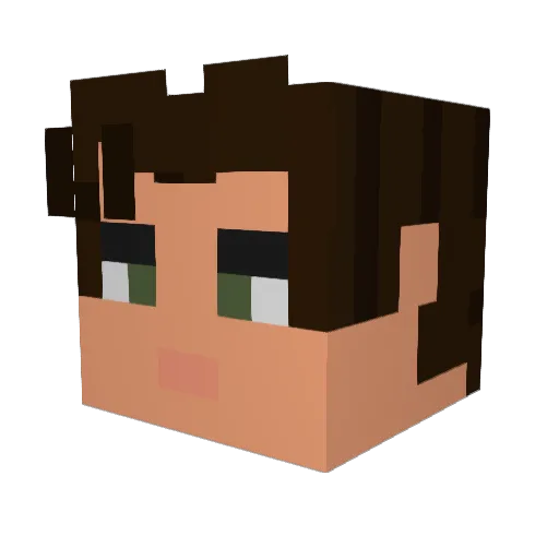 doctor100th Minecraft avatar head, 3D render