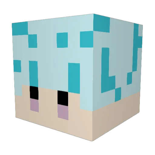 doctor9372 Minecraft avatar head, 3D render