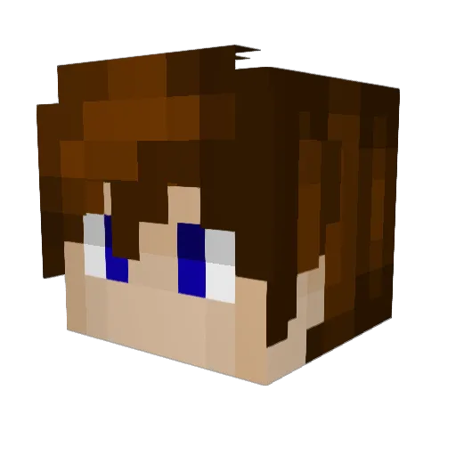 doctor_23 Minecraft avatar head, 3D render