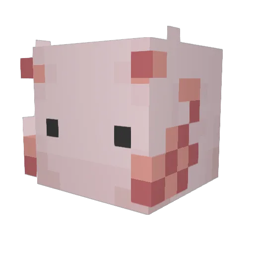 doctor_drogon Minecraft avatar head, 3D render