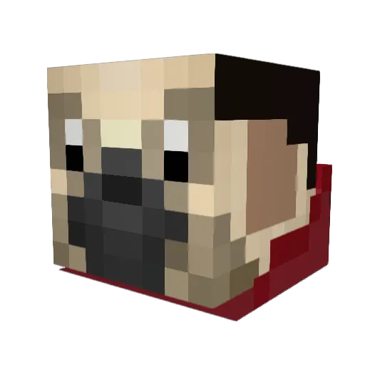 doctorsmalls1 Minecraft avatar head, 3D render