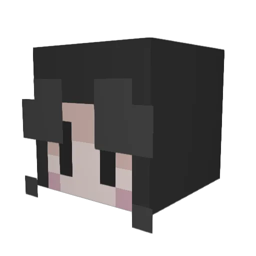doctrish Minecraft avatar head, 3D render