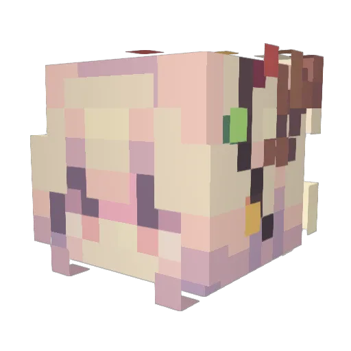 dodamB_ Minecraft avatar head, 3D render