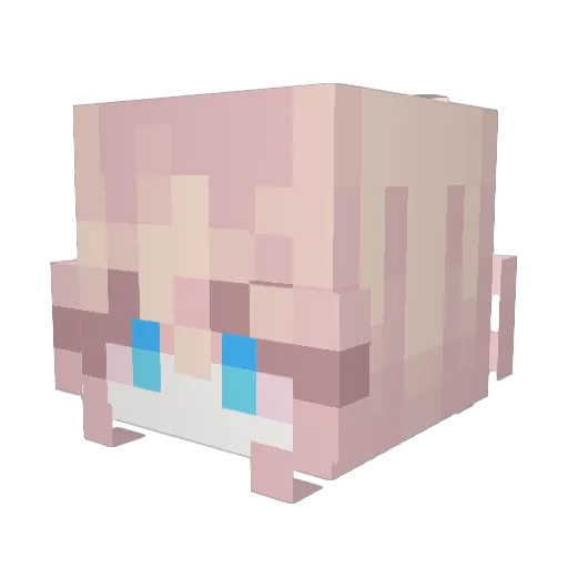 dodang Minecraft avatar head, 3D render