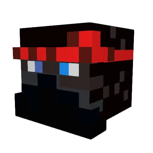 dodger815 Minecraft avatar head, 3D render