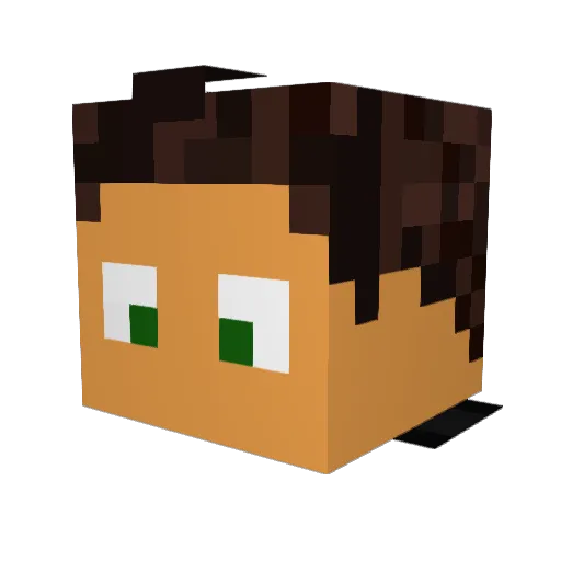 dodgererpitch Minecraft avatar head, 3D render