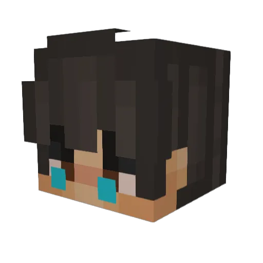 dodidi Minecraft avatar head, 3D render