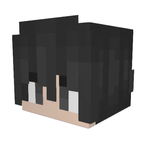 dodocodoko Minecraft avatar head, 3D render