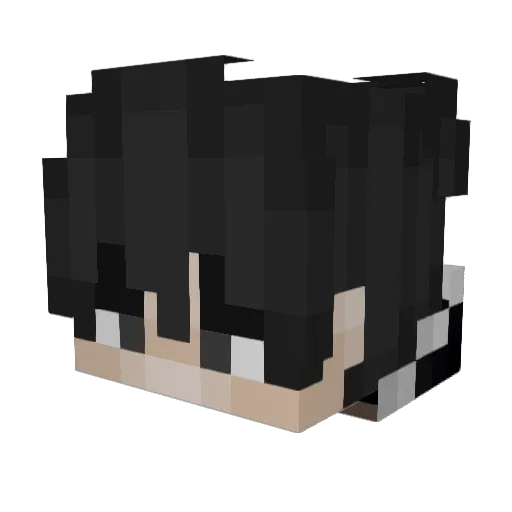 dodofegate Minecraft avatar head, 3D render
