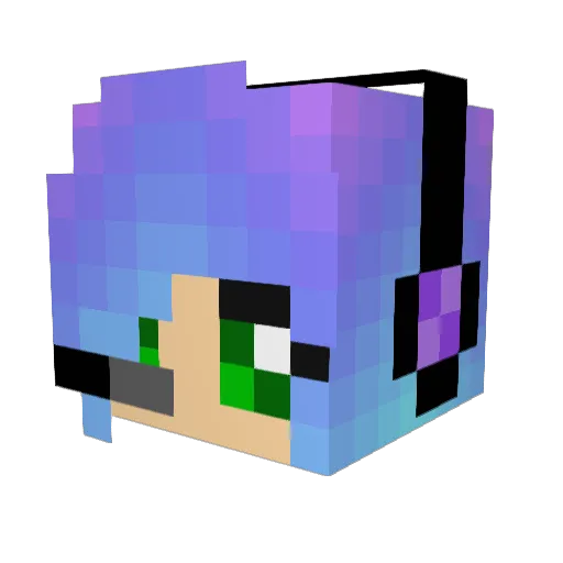 dodoknododo Minecraft avatar head, 3D render