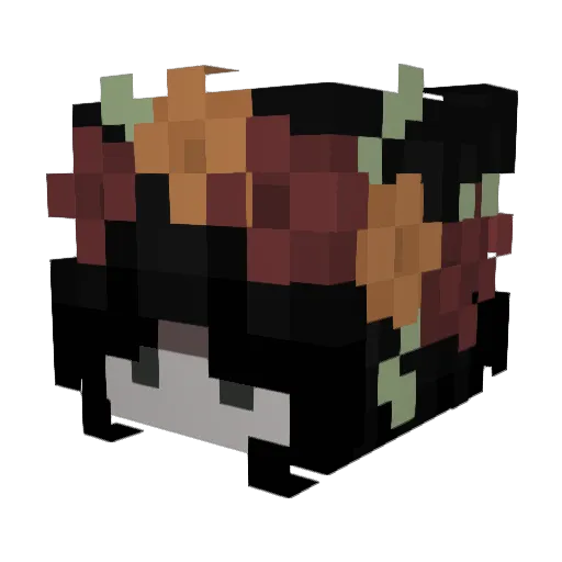 dodome0 Minecraft avatar head, 3D render