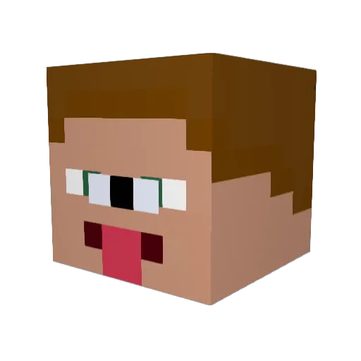 dodomu Minecraft avatar head, 3D render