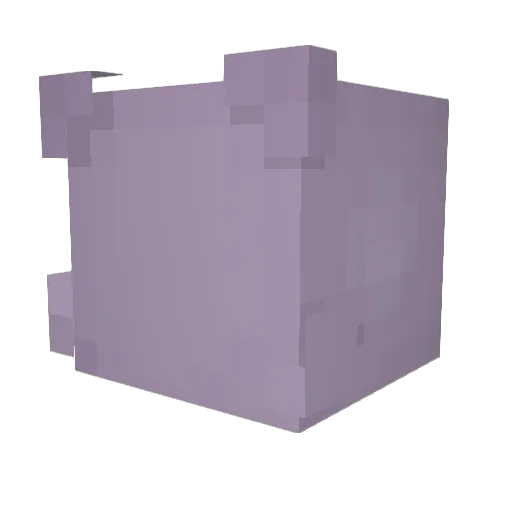 dodorax55 Minecraft avatar head, 3D render
