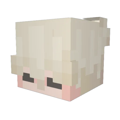 doesendes Minecraft avatar head, 3D render
