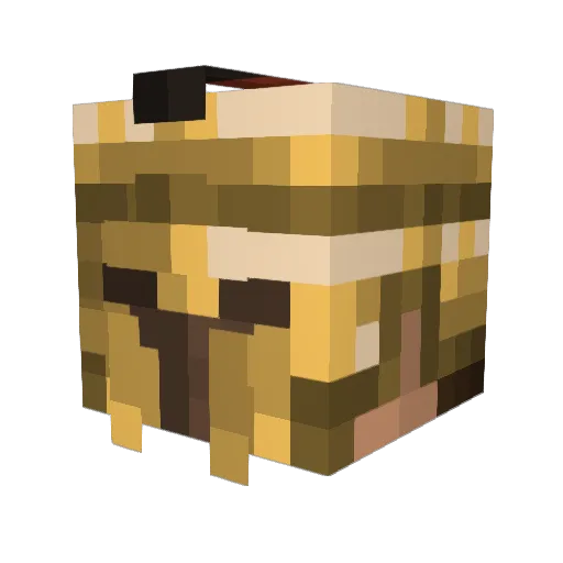 dofujam Minecraft avatar head, 3D render