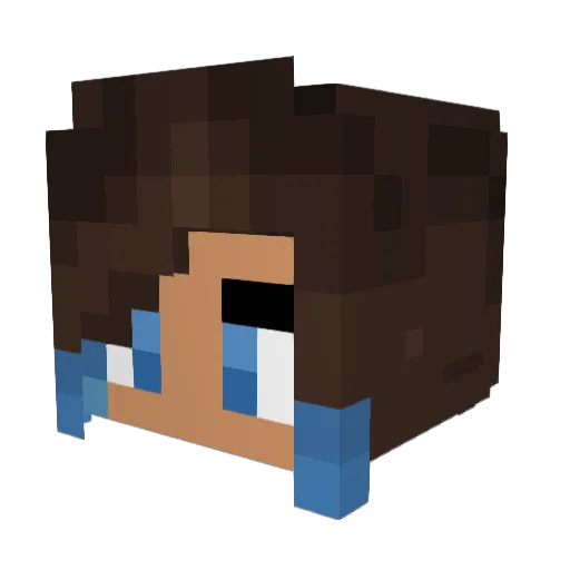 dog1775 Minecraft avatar head, 3D render