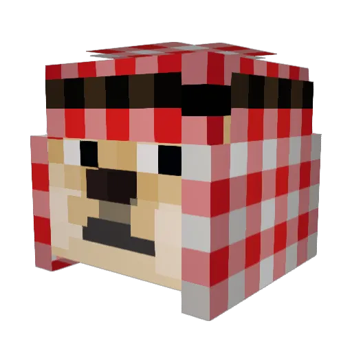 dog31415926535 Minecraft avatar head, 3D render