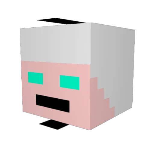 dog_sound Minecraft avatar head, 3D render
