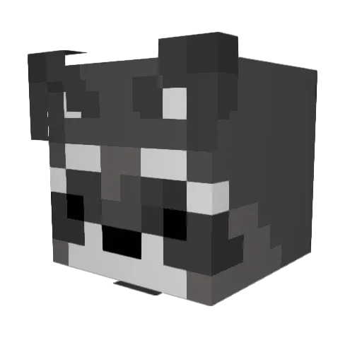 dog_witch257 Minecraft avatar head, 3D render