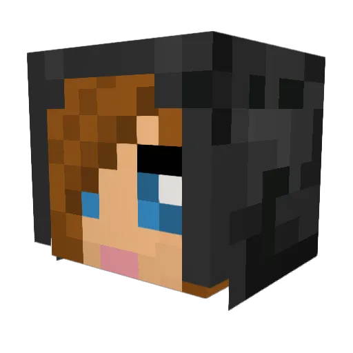 dogandcatlover Minecraft avatar head, 3D render