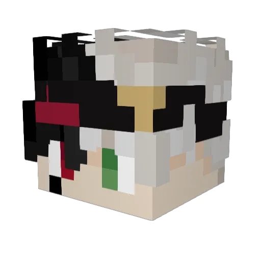 dogcatdodo43 Minecraft avatar head, 3D render