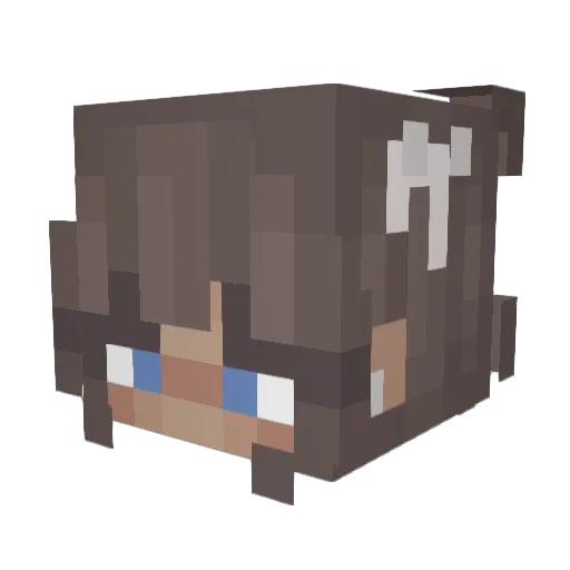 dogdogdogs Minecraft avatar head, 3D render