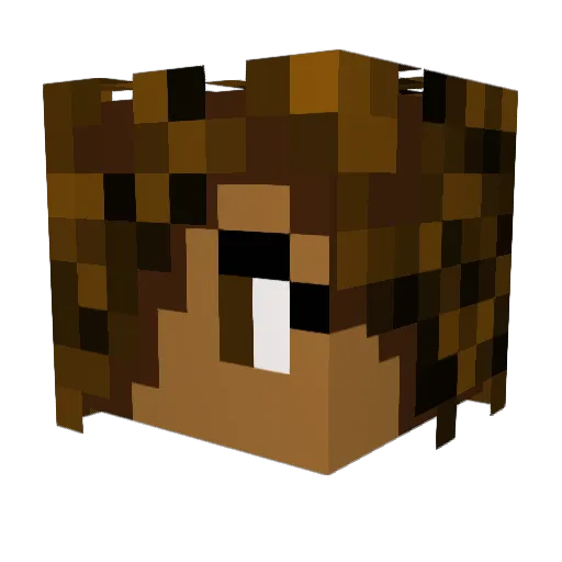 doge10101 Minecraft avatar head, 3D render