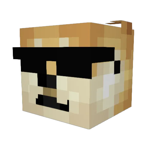 doge228 Minecraft avatar head, 3D render