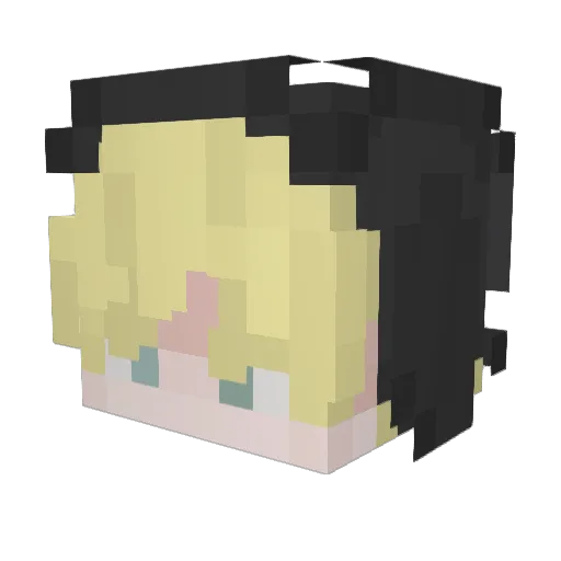 doge55 Minecraft avatar head, 3D render
