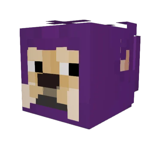 doge_69 Minecraft avatar head, 3D render
