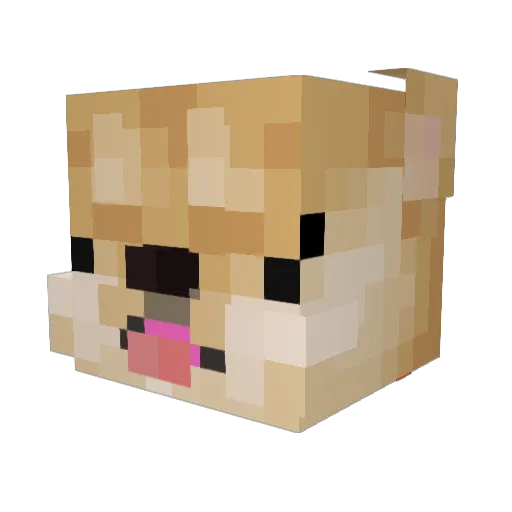 doge_man772 Minecraft avatar head, 3D render
