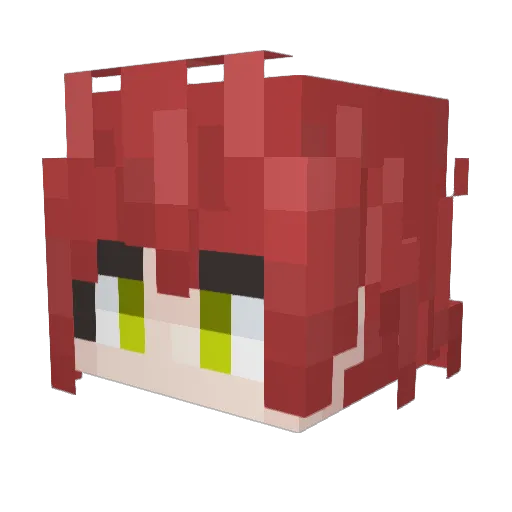 dogeking6 Minecraft avatar head, 3D render