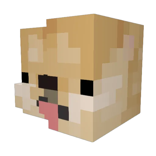 dogemaster123567 Minecraft avatar head, 3D render