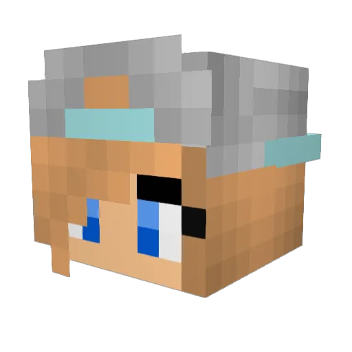 dogfighter190 Minecraft avatar head, 3D render