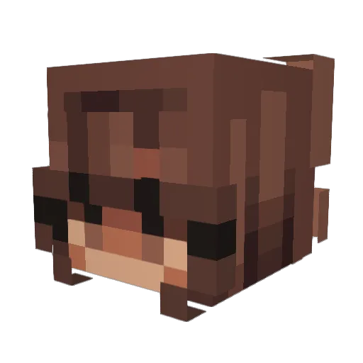 dogfightz Minecraft avatar head, 3D render