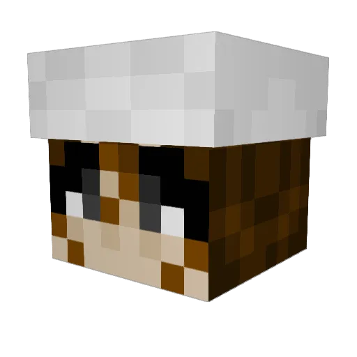 dogfoodbox Minecraft avatar head, 3D render