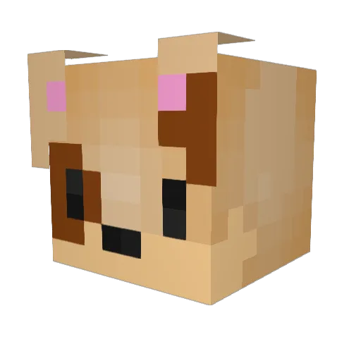 dogg0804 Minecraft avatar head, 3D render